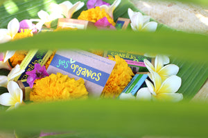 Yes Organics features at Bali Retreat